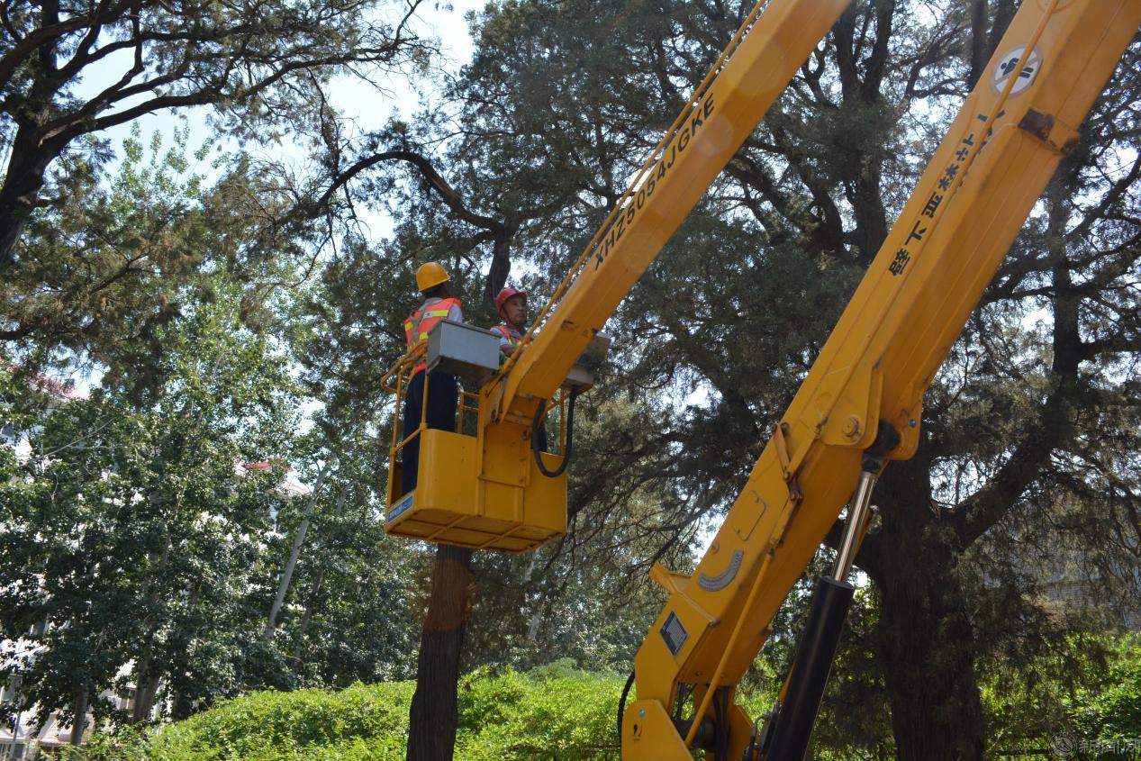 图片1.png 图片1.png