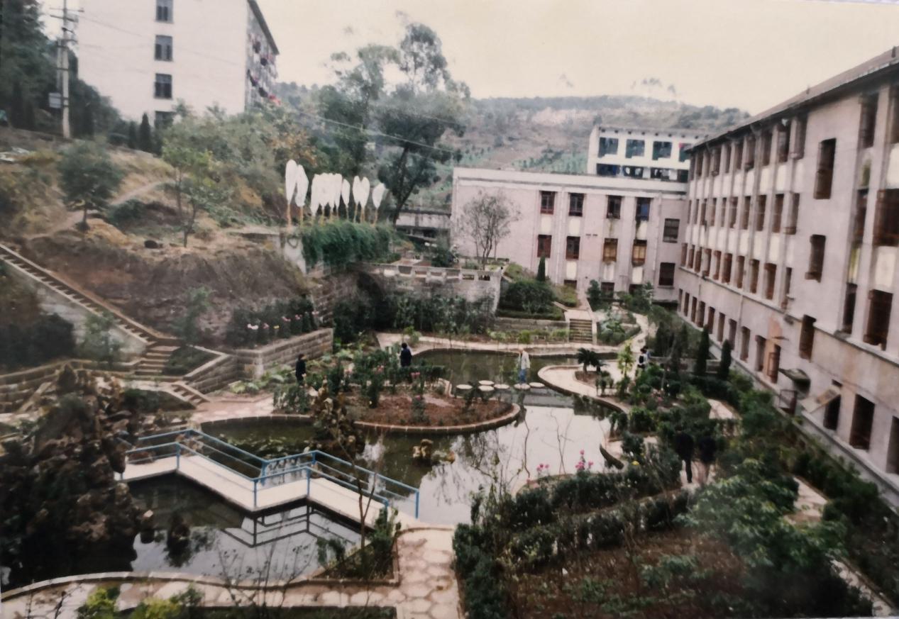 图片43.jpg 图片43.jpg