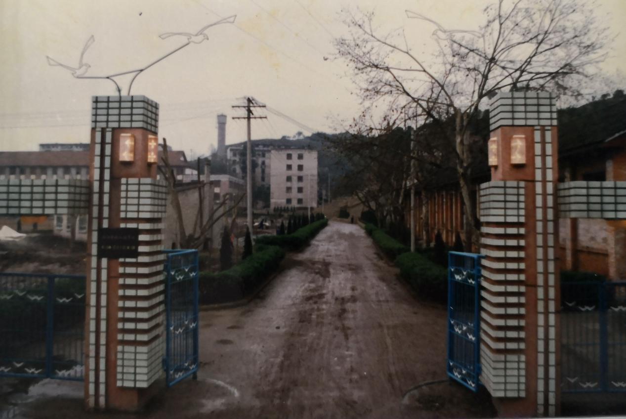 图片44.jpg 图片44.jpg