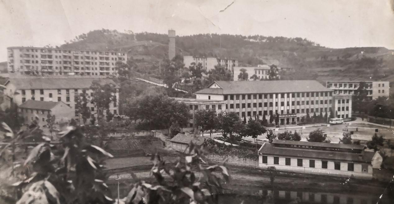 图片30.jpg 图片30.jpg