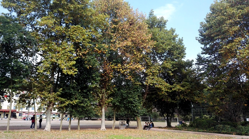 图片34.jpg 图片34.jpg